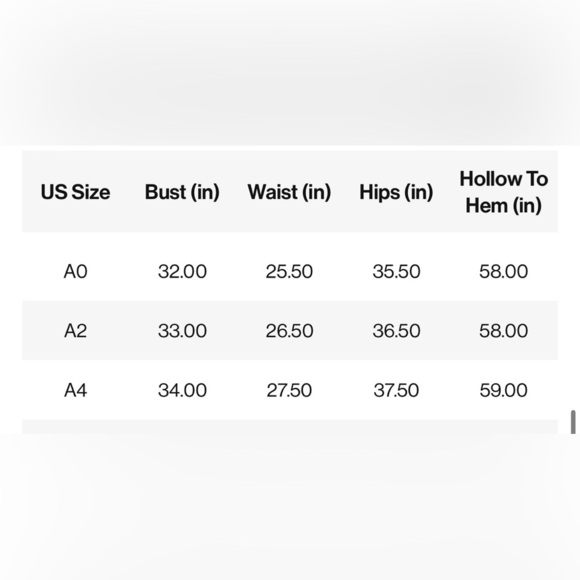 NWT Grape A-Line Ruffled Chiffon Dress in size 0 - Picture 7 of 7